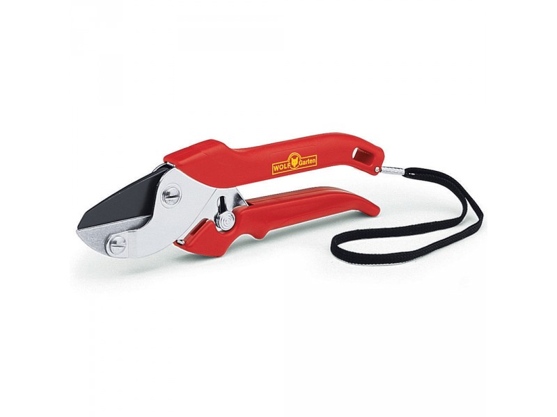 Dimopanas - WOLF GARDEN ΚΛΑΔΕΥΤΗΡΙ ΑΚΜΗΣ RS 22 